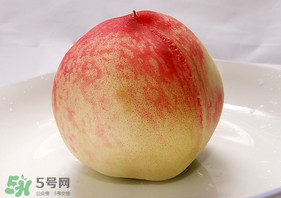 毛桃不能和什么一起吃？毛桃和什么相克？