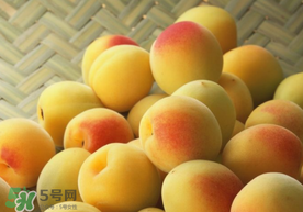 杏和雞蛋能一起吃嗎？杏子和雞蛋能一起吃嗎？
