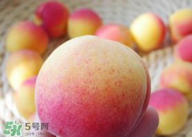 杏的熱量高嗎？一個杏的熱量是多少？