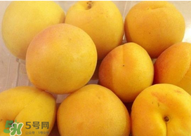 杏吃多了會怎么樣？杏吃多了會不會上火?
