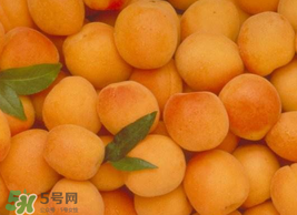 杏怎么催熟？杏怎么放熟的快？