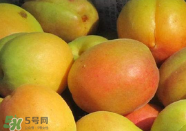 杏怎么催熟？杏怎么放熟的快？