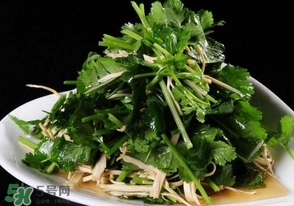 香菜是什么菜？香菜是陽(yáng)痿草嗎？