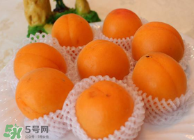 杏子可以放冰箱嗎？杏子可以冷藏嗎？