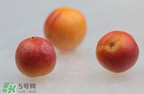 杏子怎么保存？長杏子怎么保存時間長？