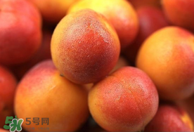 新鮮杏子可以放冰箱嗎？新鮮杏子怎么保存？