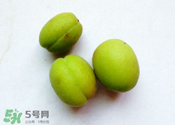 青杏怎么催熟？青杏怎么變黃？
