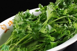 香菜是感光食物嗎？香菜是不是感光食物