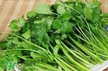 香菜是堿性嗎？香菜是堿性還是酸性