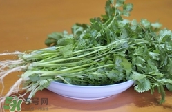 香菜是寒性食物嗎？香菜是熱性還是涼性？