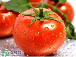 杏和西紅柿能一起吃嗎？杏子能和西紅柿一起吃嗎？