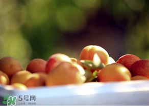 杏子好吃嗎？杏子可以多吃嗎？