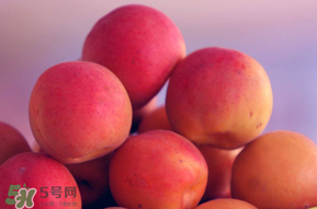 杏子好吃嗎？杏子可以多吃嗎？