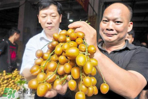 黃皮好吃嗎？黃皮是什么味道？