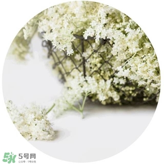 lululun plus面膜怎么樣？lululun plus面膜哪款好