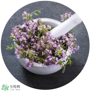 lululun plus面膜怎么樣？lululun plus面膜哪款好