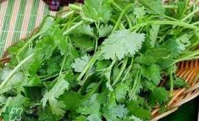 香菜洗腎有科學(xué)依據(jù)么？香菜能洗腎是真的嗎？