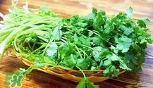 香菜是寒性食物嗎？香菜是熱性還是涼性？