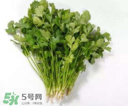 香菜洗腎有科學(xué)依據(jù)么？香菜能洗腎是真的嗎？