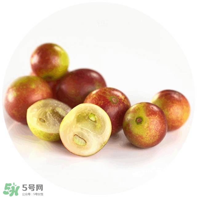 lululun plus面膜怎么樣？lululun plus面膜哪款好