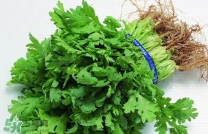 香菜是回奶的嗎？香菜是回奶還是下奶