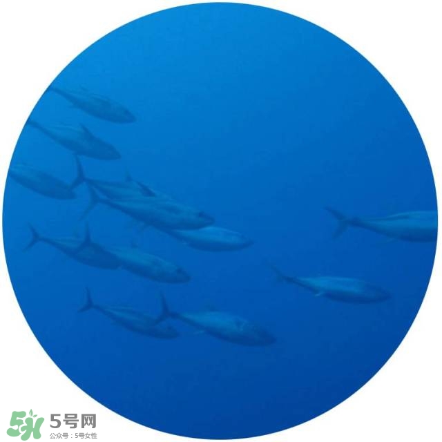 lululun plus面膜怎么樣？lululun plus面膜哪款好