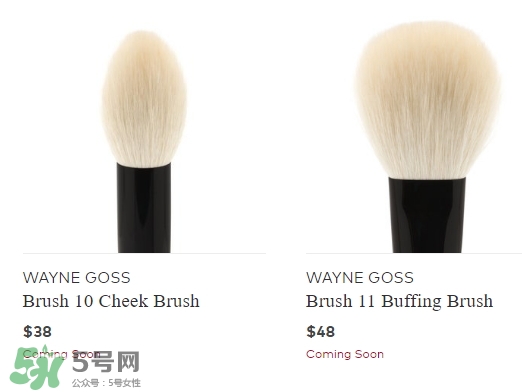 wayne goss是什么牌子？wayne goss化妝刷怎么樣？