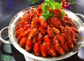 油燜大蝦吃哪些部位？怎么正確吃油燜大蝦？