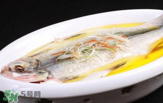 孕婦可以吃白條魚(yú)嗎？白條魚(yú)孕婦能吃嗎？