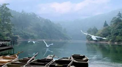 馬口魚能養(yǎng)殖嗎？馬口魚怎么養(yǎng)？