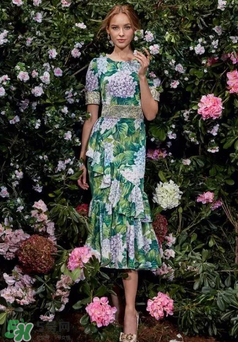 dolce gabanna杜嘉班納2017秋冬繡球花系列怎么樣_好看嗎？