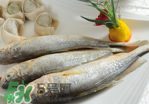 黃魚多少錢一斤？黃魚多少錢一斤2017？