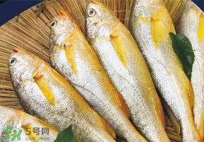 小黃魚長(zhǎng)大后會(huì)不會(huì)變成大黃魚？