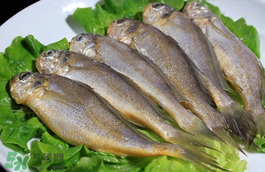 小黃魚長(zhǎng)大后會(huì)不會(huì)變成大黃魚？