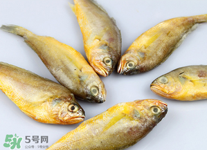 小黃魚不能和什么一起吃？小黃魚和什么相克？