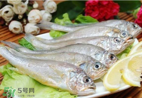 小黃魚多少錢一斤？野生小黃魚多少錢一斤？