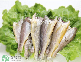小黃魚可以養(yǎng)殖嗎？小黃魚能人工養(yǎng)殖嗎？