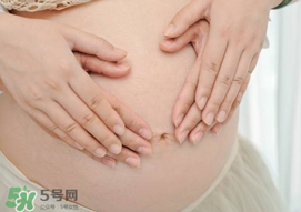 孕婦驅(qū)蚊植物推薦 孕婦能用植物驅(qū)蚊嗎？