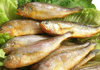 小黃魚多少錢一斤？野生小黃魚多少錢一斤？