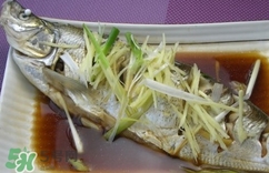 白條魚多少錢一斤2017？野生白條魚多少錢一斤