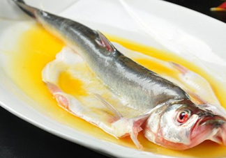白條魚能長(zhǎng)多大？白條魚可以長(zhǎng)多大？