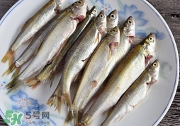 孕婦可以吃白條魚(yú)嗎？白條魚(yú)孕婦能吃嗎？