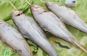馬口魚(yú)怎么釣？馬口魚(yú)什么時(shí)候釣最好