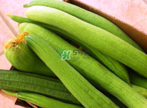 7月份吃什么蔬菜？七月份吃什么蔬菜？