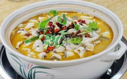 酸菜魚是哪個地方的菜？酸菜魚是什么魚？