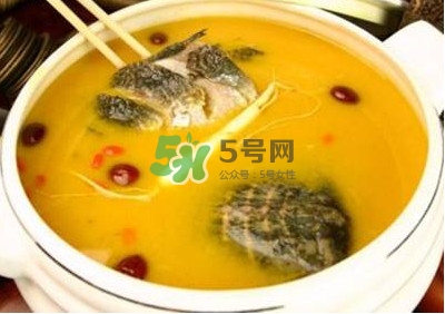 甲魚湯怎么做？甲魚湯的做法