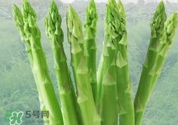 蘆筍過敏怎么辦？蘆筍過敏怎么處理？