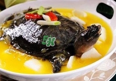 甲魚不能和什么一起吃？甲魚不能跟什么食物一起吃