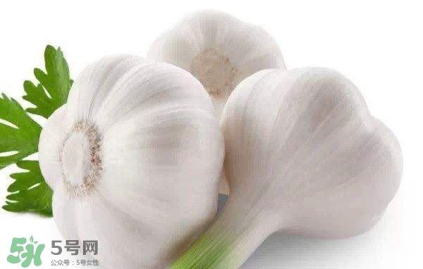 新蒜頭多少錢一斤2017？新蒜頭市場價(jià)格