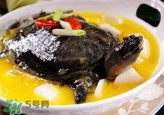 甲魚湯孕婦能喝嗎？甲魚湯孕婦可以喝嗎